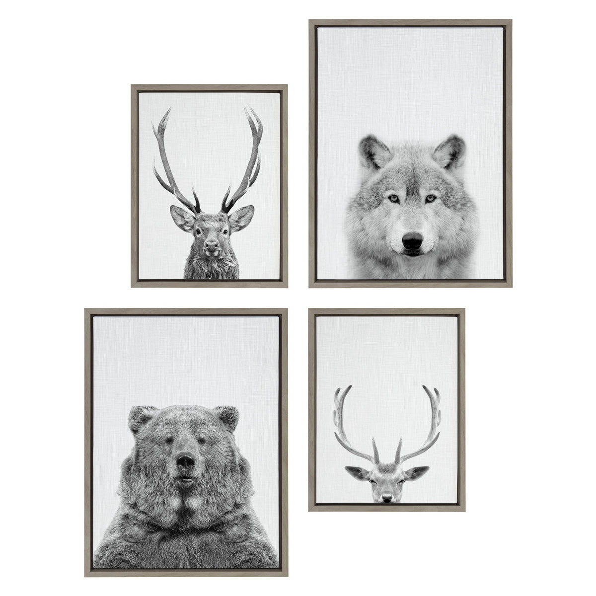 Sylvie Deer, Wolf, Bear European and Cervus Elaphus The Red Deer Black and White Framed Canvas Art Set by Simon Te of Tai Prints