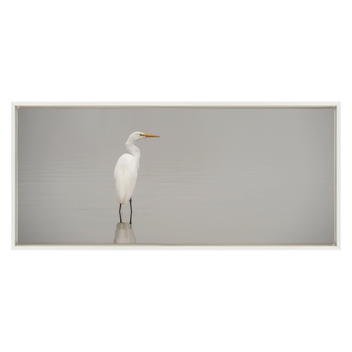 Sylvie Great White Egret Framed Canvas by Crystal Lynn Collins