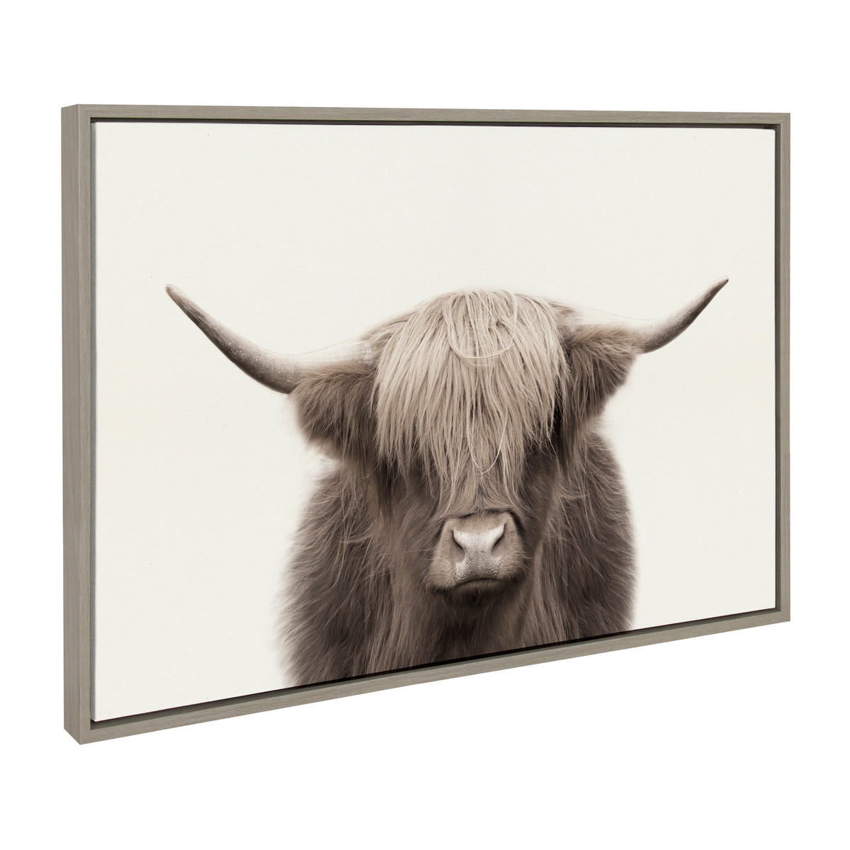 Sylvie Hey Dude Highland Cow Color Framed Canvas by The Creative Bunch Studio