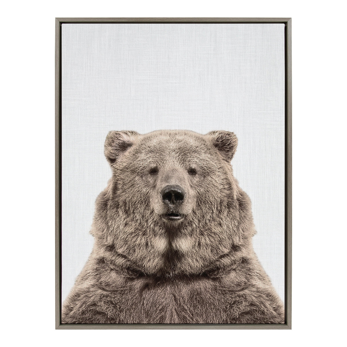 Sylvie Bear European Color Framed Canvas by Simon Te of Tai Prints