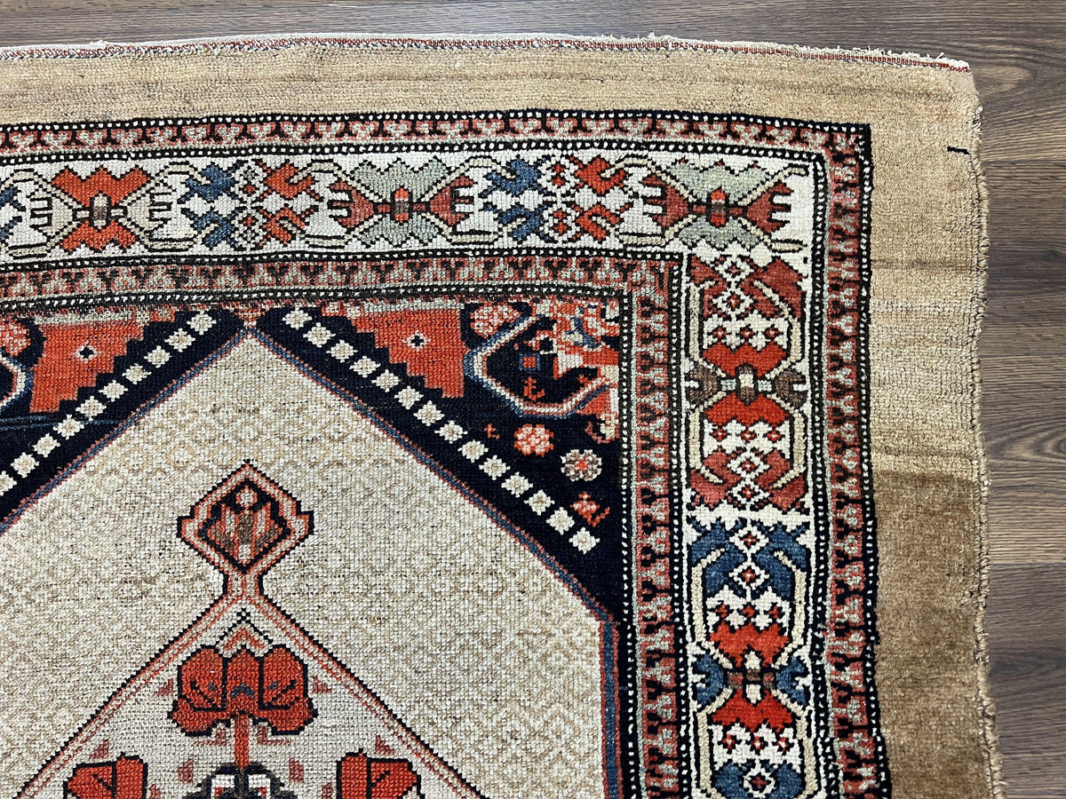 Rare Persian Sarab Tribal Runner Rug 4 x 10, Antique, Geometric Medallions, Camel Hair Runner - Jewel Rugs, view 7