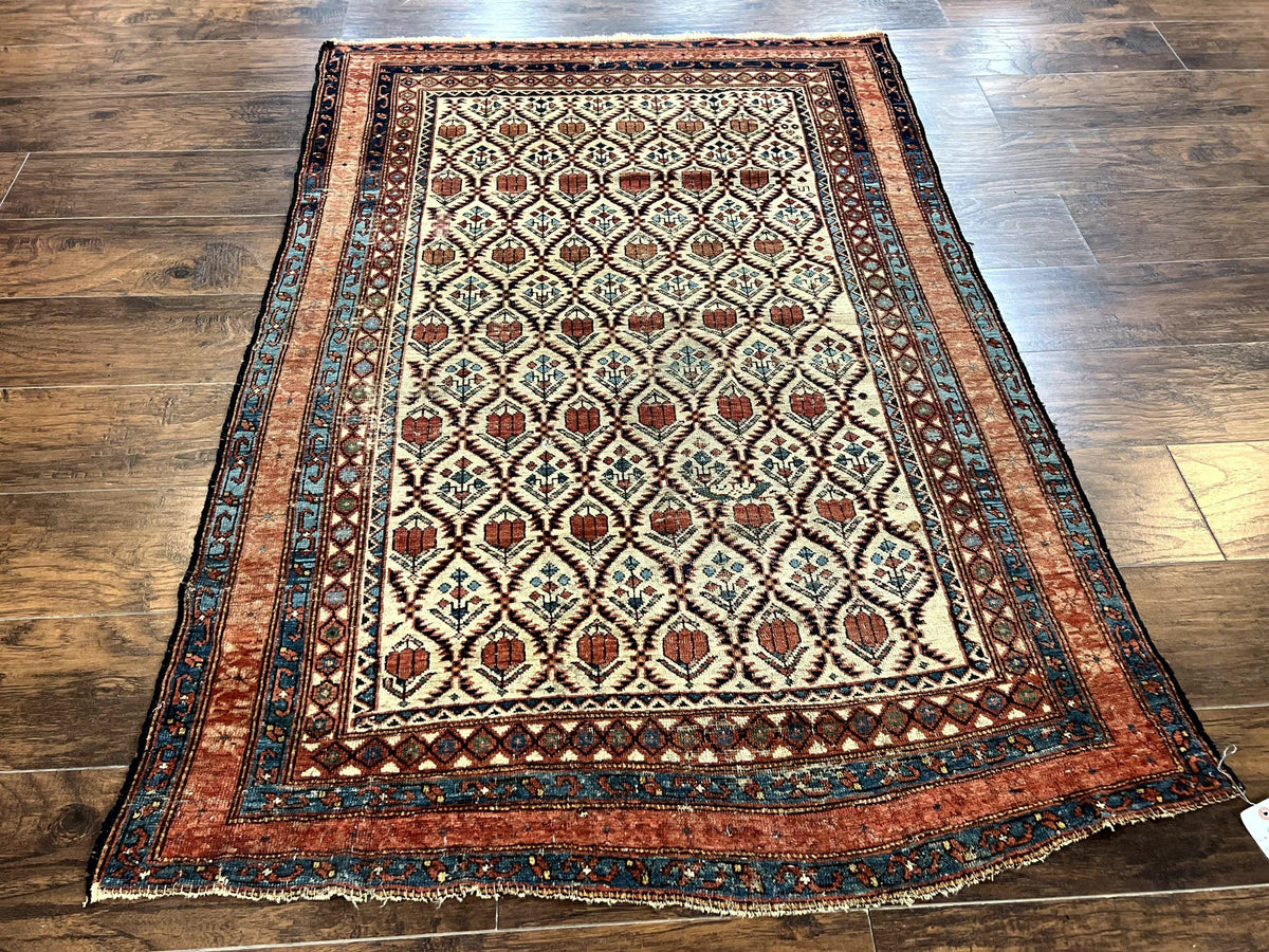 Antique Caucasian Rug 4x6, Hand Knotted Wool Carpet, Shirvan Rug - Jewel Rugs, view 13