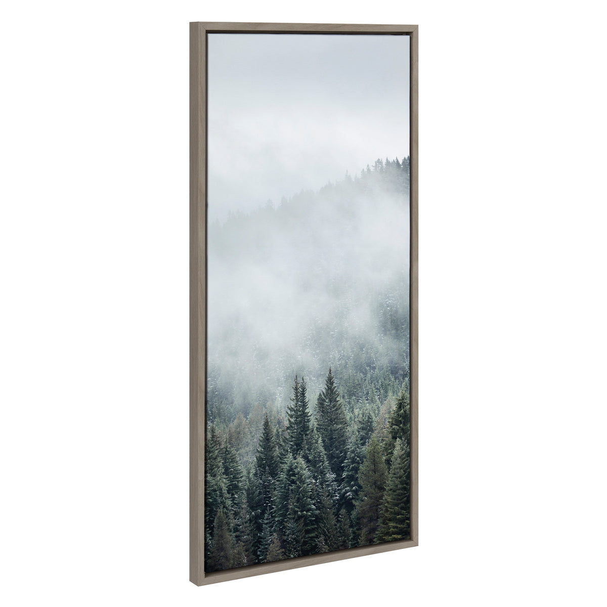 Sylvie Evergreen Dream Framed Canvas by Emiko and Mark Franzen of F2Images