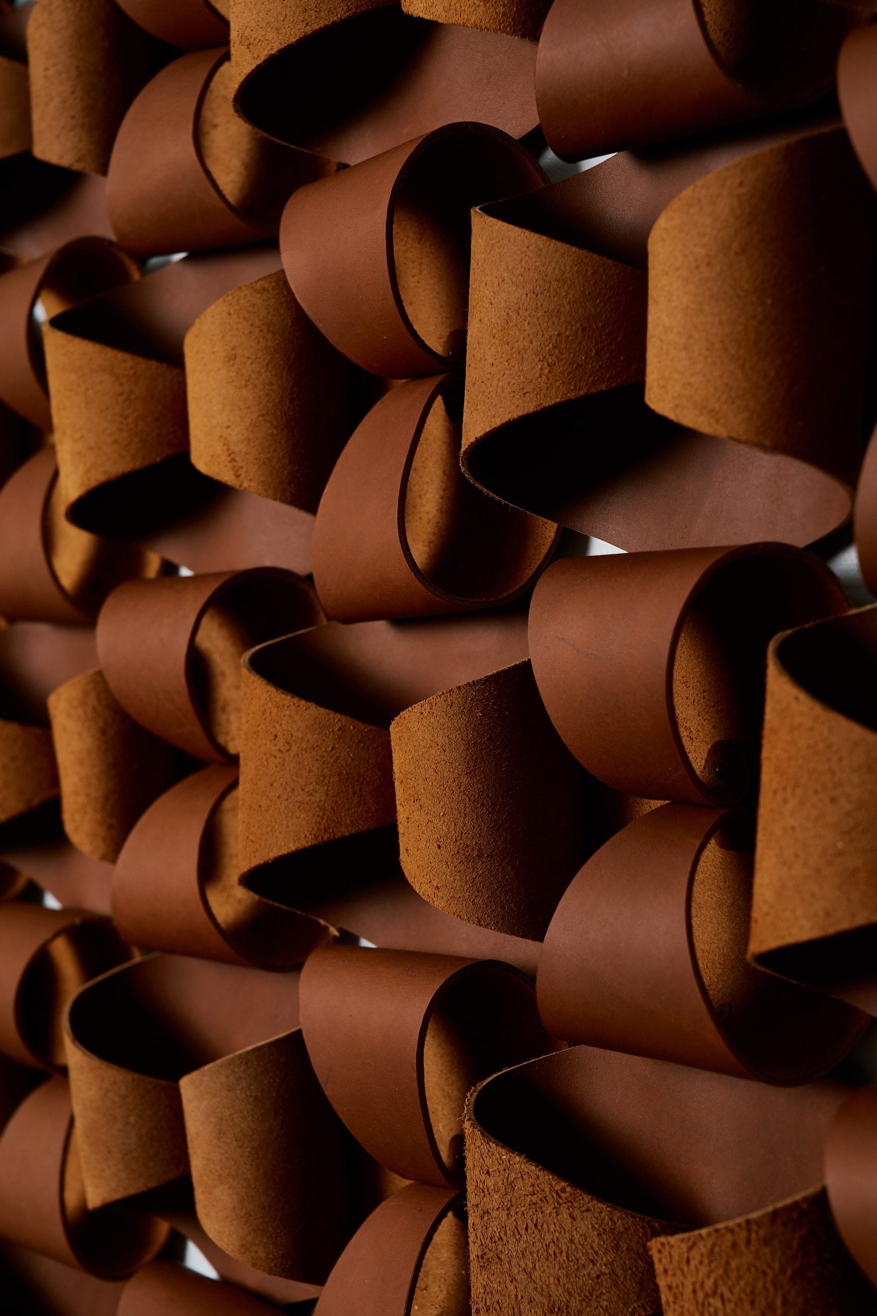 Curls image 3