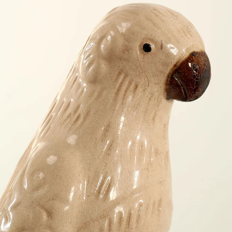 Creamy White Glazed Parrot Large image 6