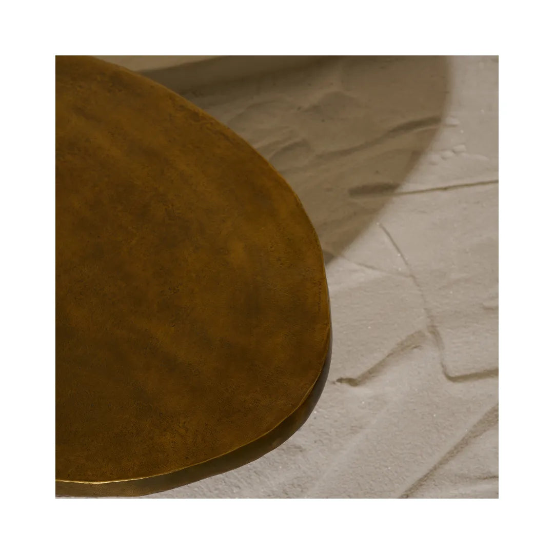 Damru Coffee Table image 4