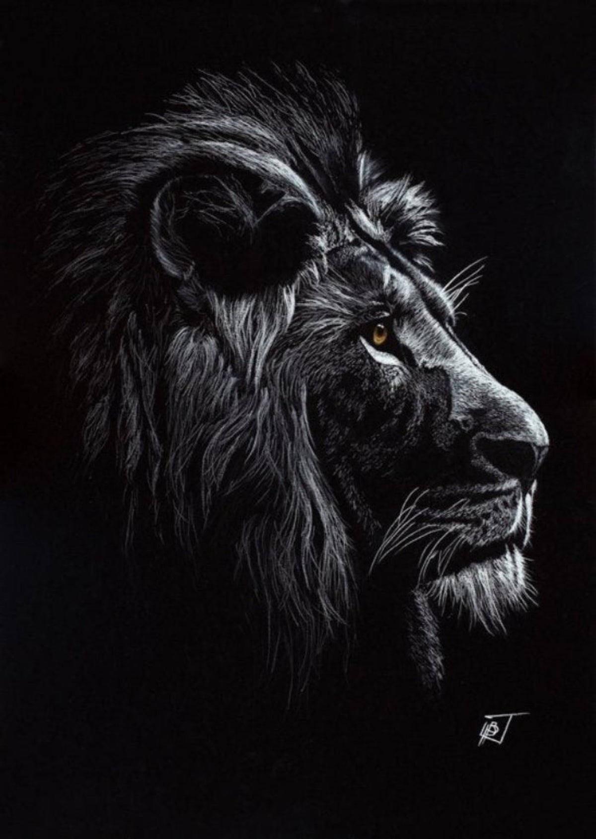Mane & Mystery image 1