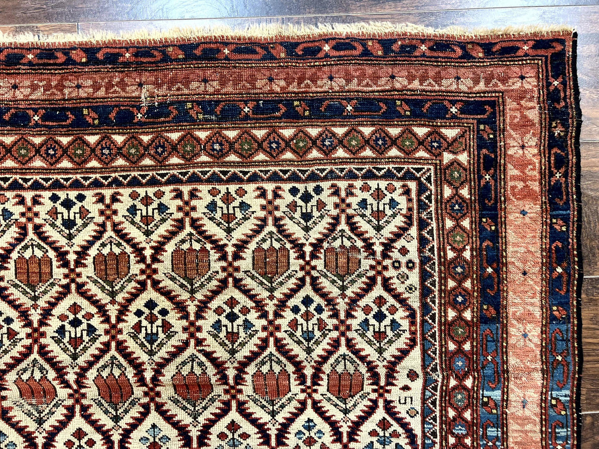 Antique Caucasian Rug 4x6, Hand Knotted Wool Carpet, Shirvan Rug - Jewel Rugs, view 8