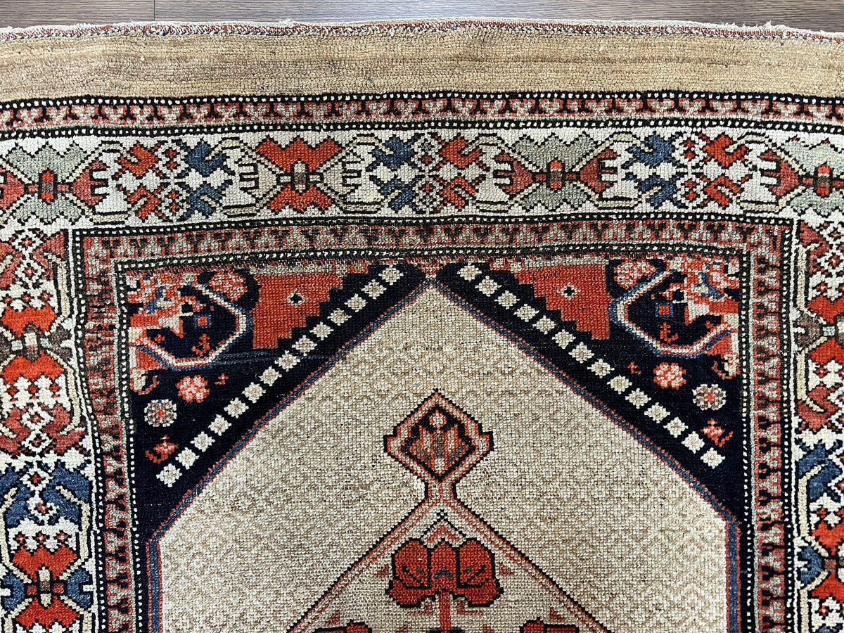 Rare Persian Sarab Tribal Runner Rug 4 x 10, Antique, Geometric Medallions, Camel Hair Runner - Jewel Rugs, view 3