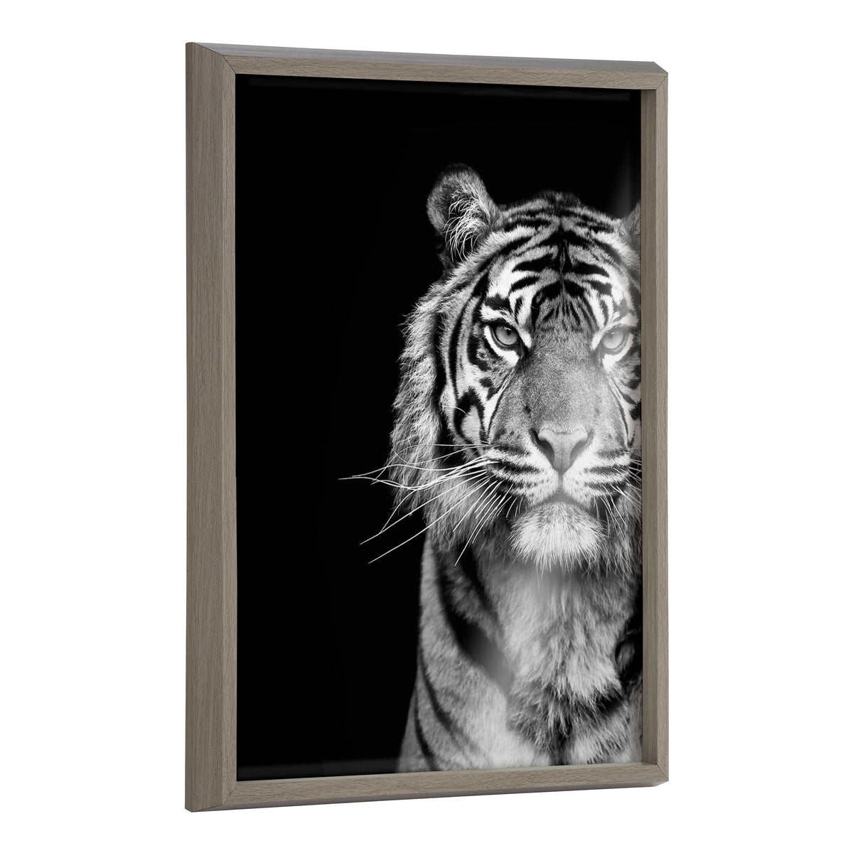 Blake Tiger Minimalist Animal Framed Printed Glass by The Creative Bunch Studio