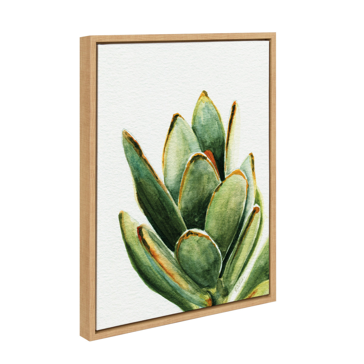 Sylvie Succulent 18 Framed Canvas By Jennifer Redstreake Geary