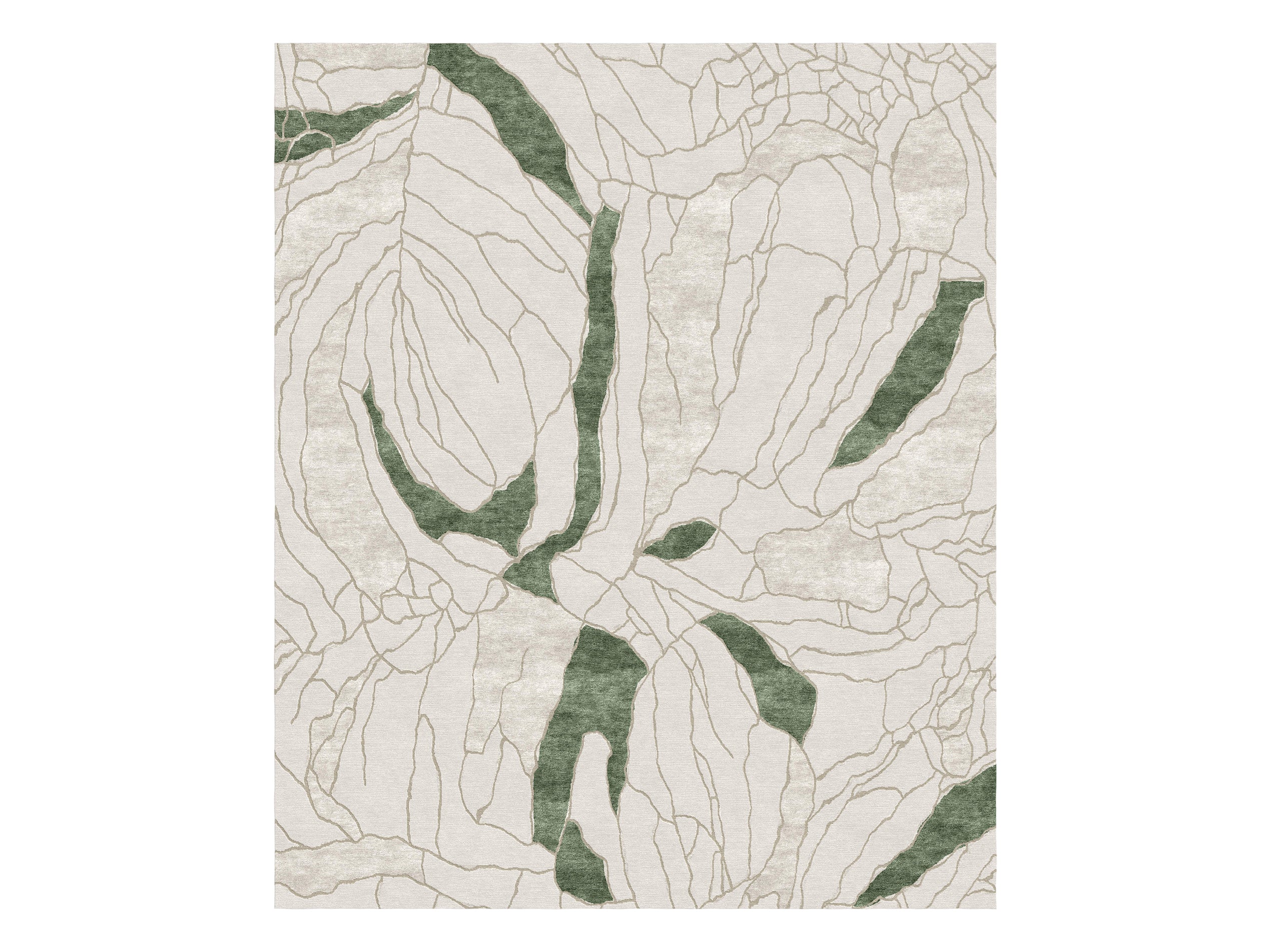 Narcissus image