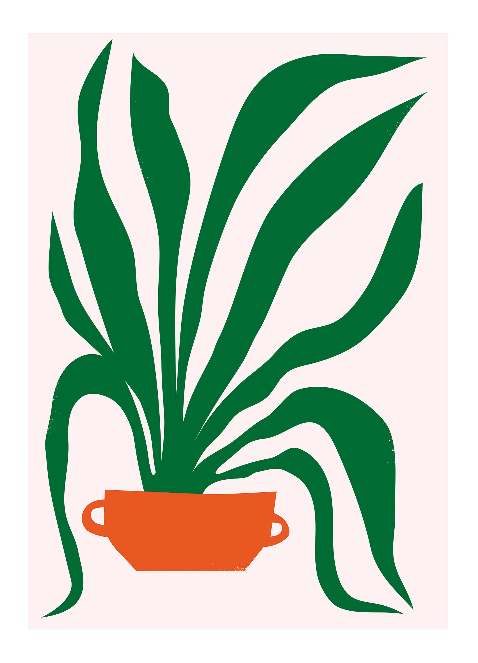 Snake Plant Still Life by Kirsten Ulve - view 5