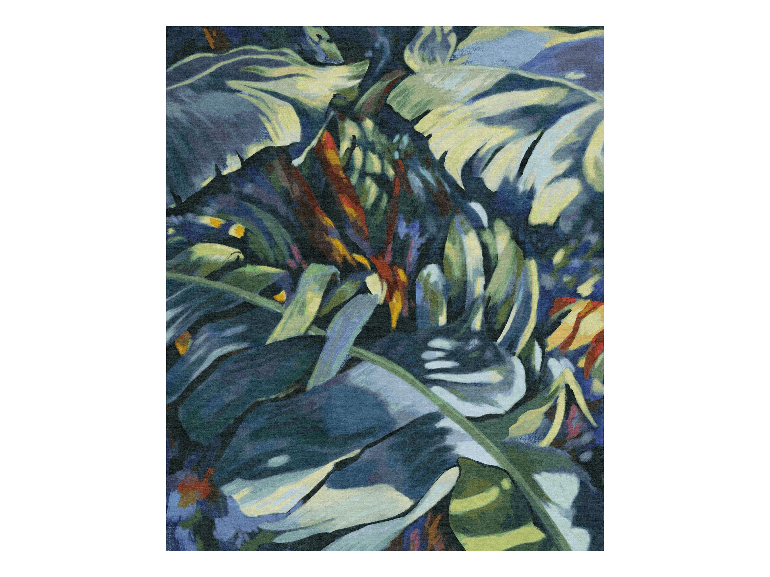 Rain Forest image