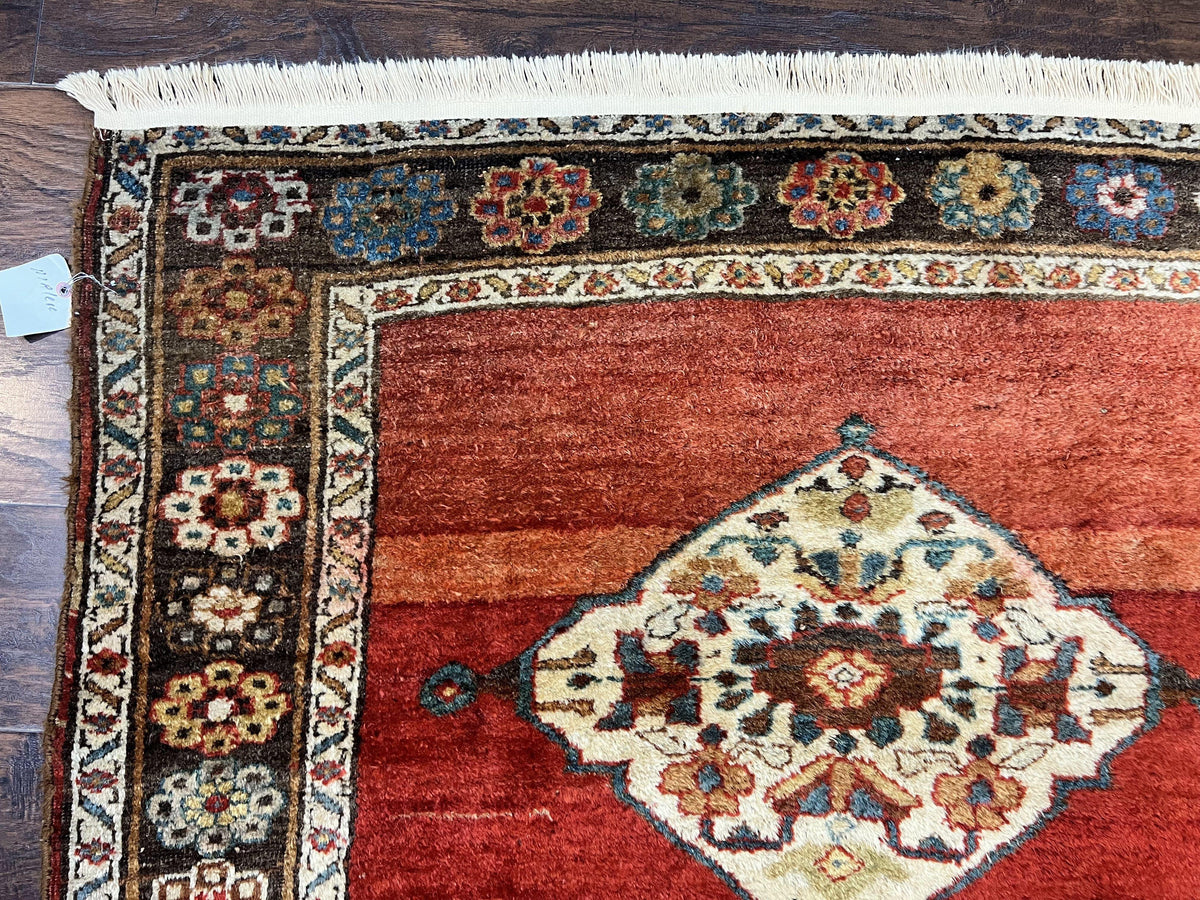 Antique Persian Bidjar Rug 4x8, Triple Medallions, Handmade Oriental Carpet, 1920s Rug, Wool Rug, Red - Jewel Rugs, view 7