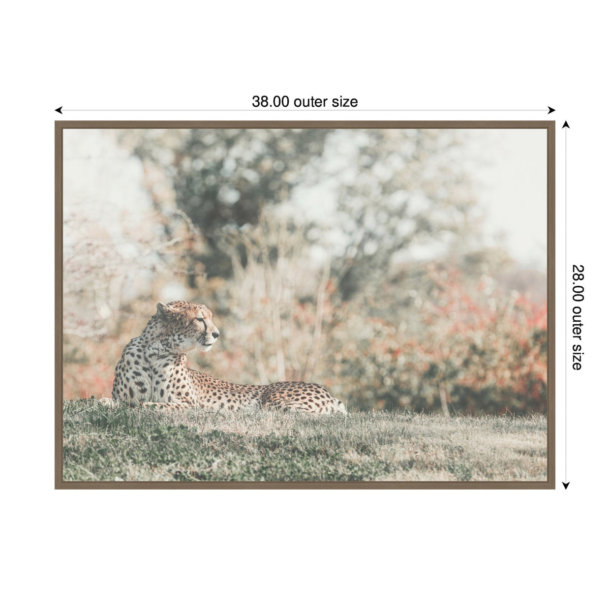 Sylvie Cheetah Glance Framed Canvas by Alicia Abla