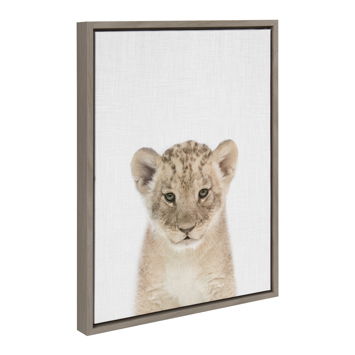 Sylvie Baby Lion Color Framed Canvas by Simon Te of Tai Prints