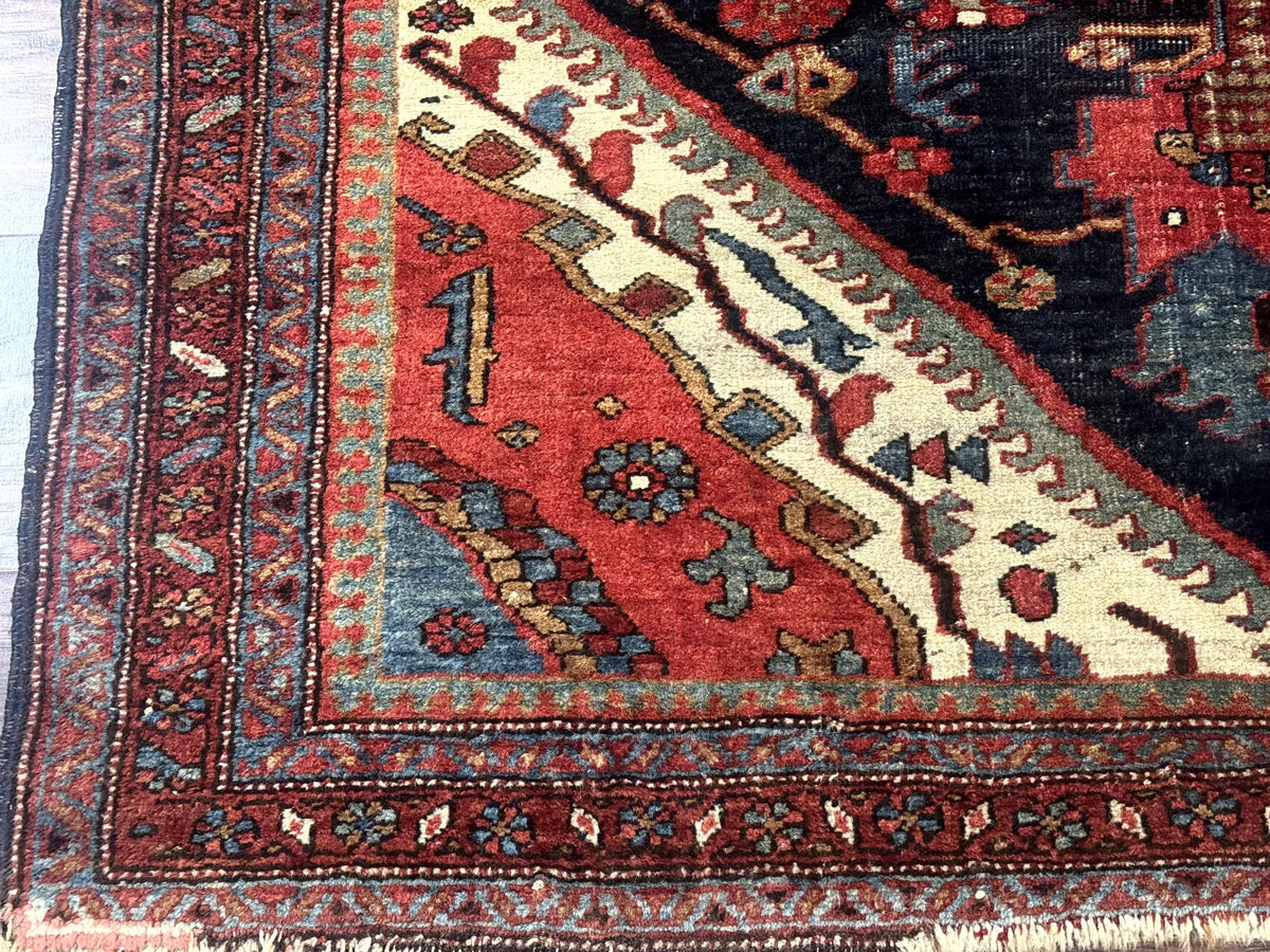 Antique Persian Bidjar Rug 5x6, Navy Blue and Red, Persian Tribal Rug - Jewel Rugs, view 9