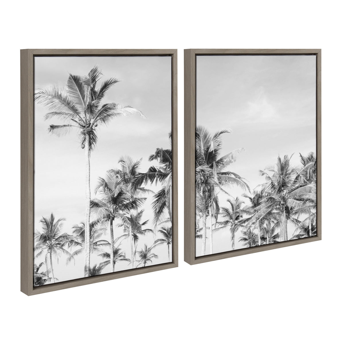 Sylvie Coastal Coconut Palm Tree Beach BW Framed Canvas Set by The Creative Bunch Studio
