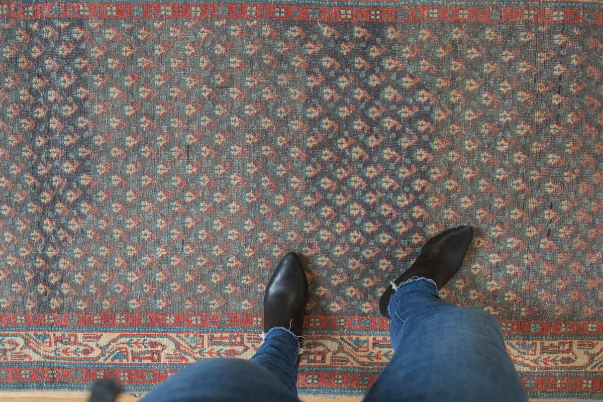 3.5x9.5 Vintage Distressed Serbend Rug Runner