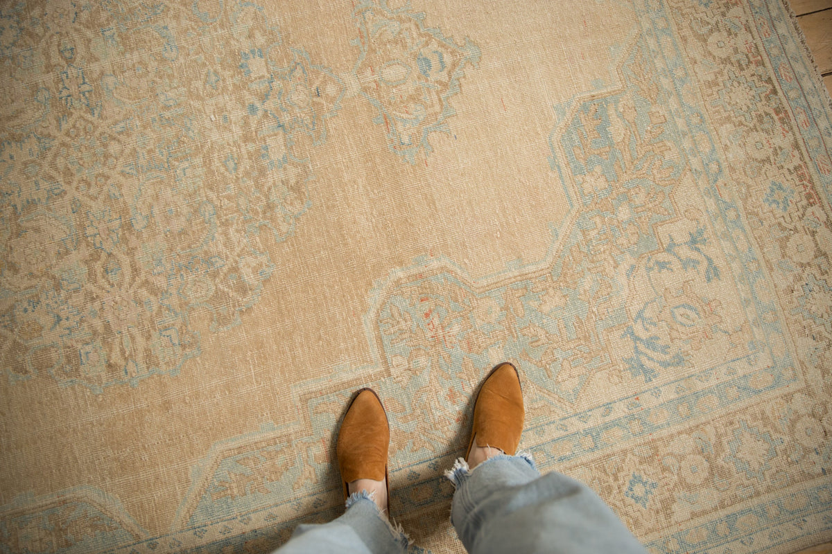7.5x9.5 Vintage Distressed Birjand Carpet