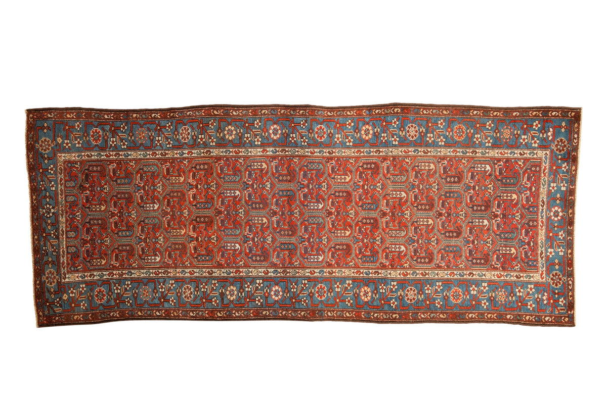 3.5x9.5 Antique Fine Kurdish Hamadan Rug Runner