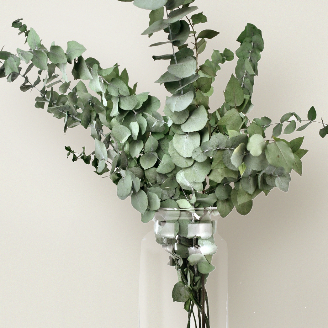 Eucalyptus Flower Preserved Bouquet - Source by Studio Skara, view 2