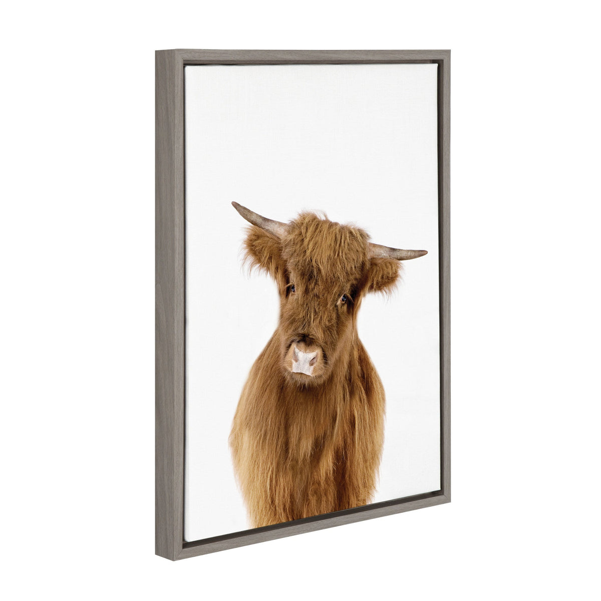 Sylvie Animal Studio Highland Framed Canvas by Amy Peterson Art Studio