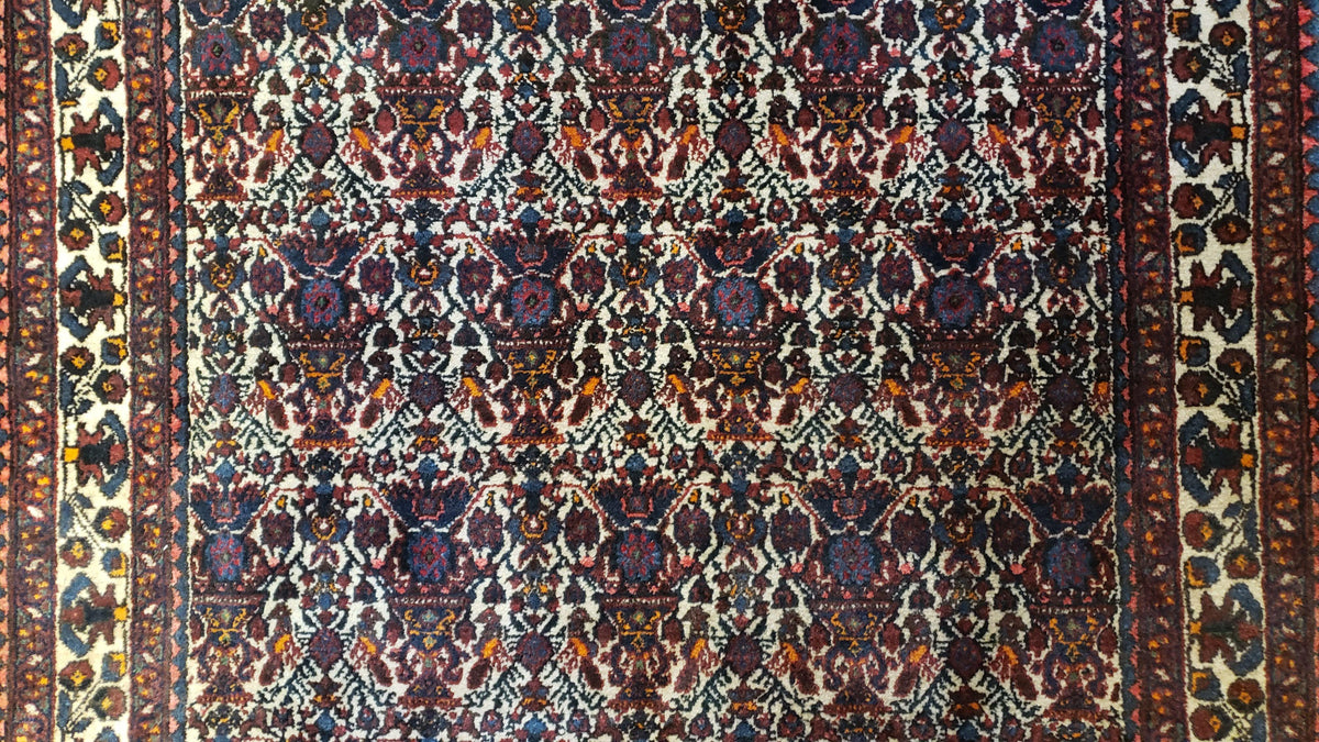 Persian Afshar Rug 3.6 x 5, Zili Sultan Pattern, Wool - Jewel Rugs, view 6