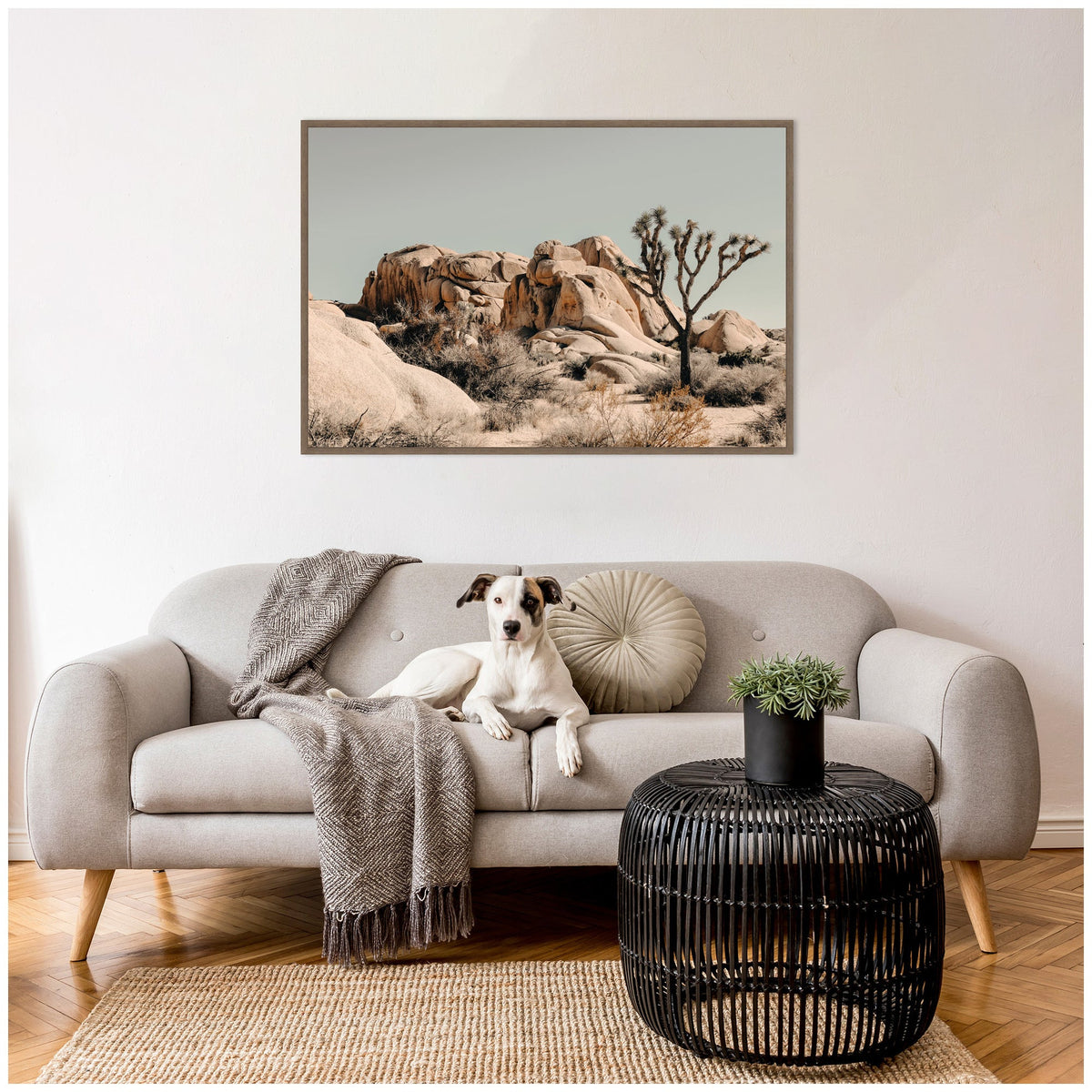 Joshua Tree No. 3 by Alicia Bock Framed Canvas Wall Art Print