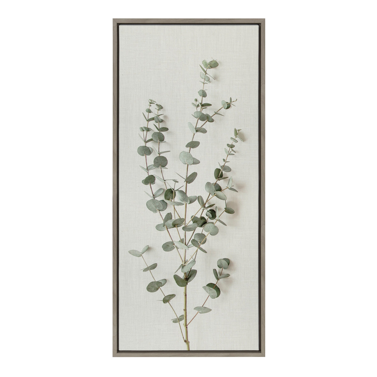 Sylvie Eucalyptus Botanical I Framed Canvas by The Creative Bunch Studio