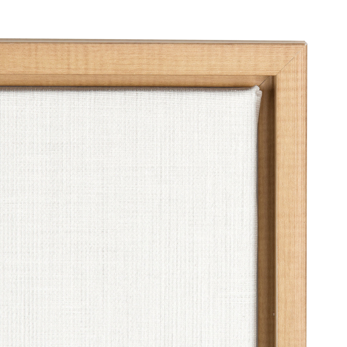 Sylvie Lion Framed Canvas by Simon Te Tai
