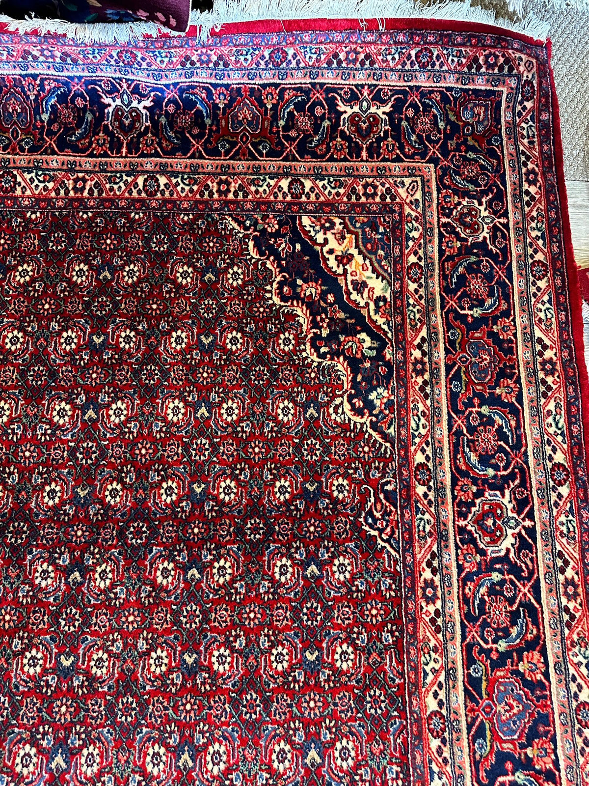 Vintage Persian Moud Rug 9x14 | Red, Navy & Ivory | Hand-Knotted Wool - Rugistan, view 12