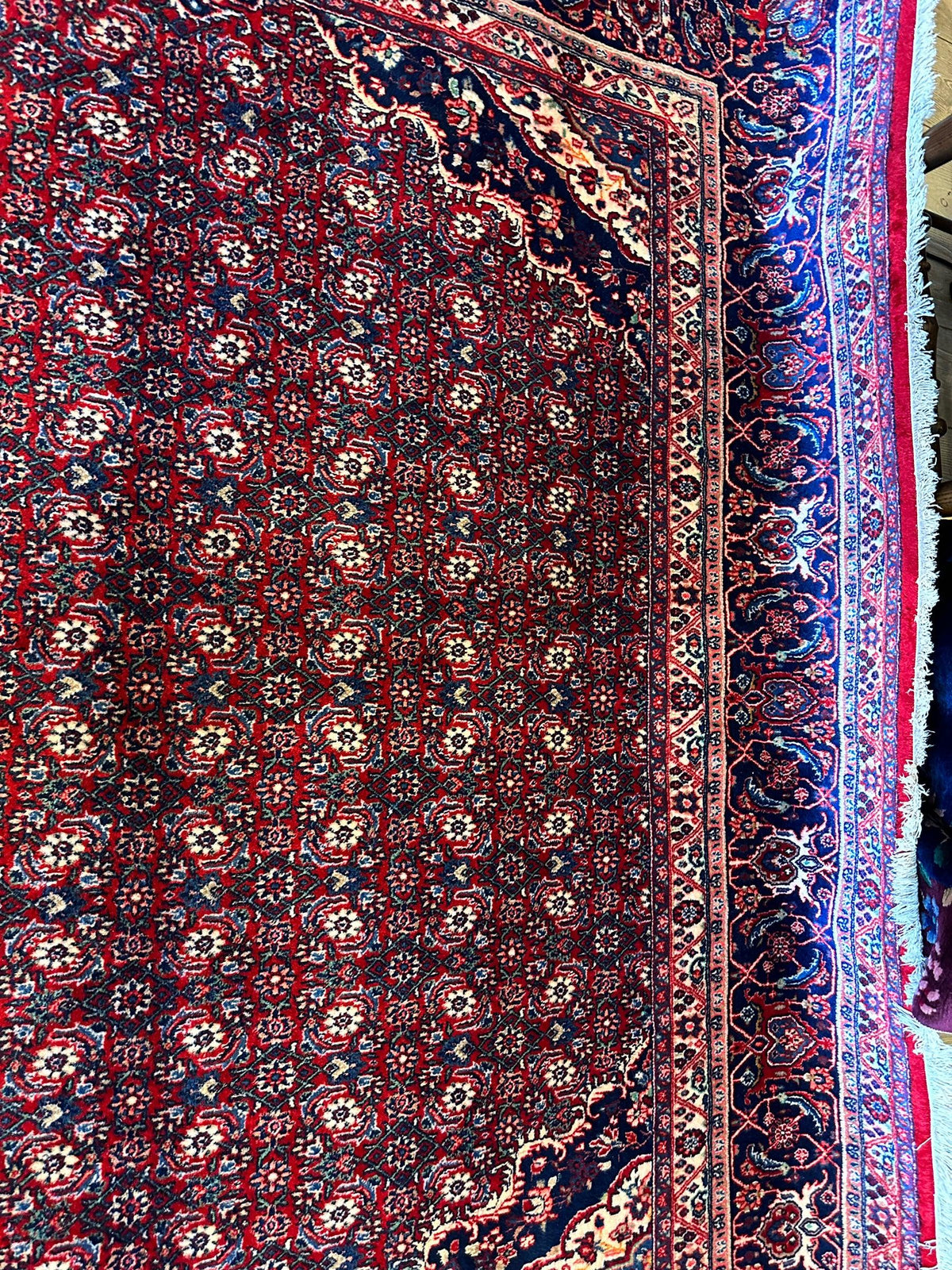 Vintage Persian Moud Rug 9x14 | Red, Navy & Ivory | Hand-Knotted Wool - Rugistan, view 13