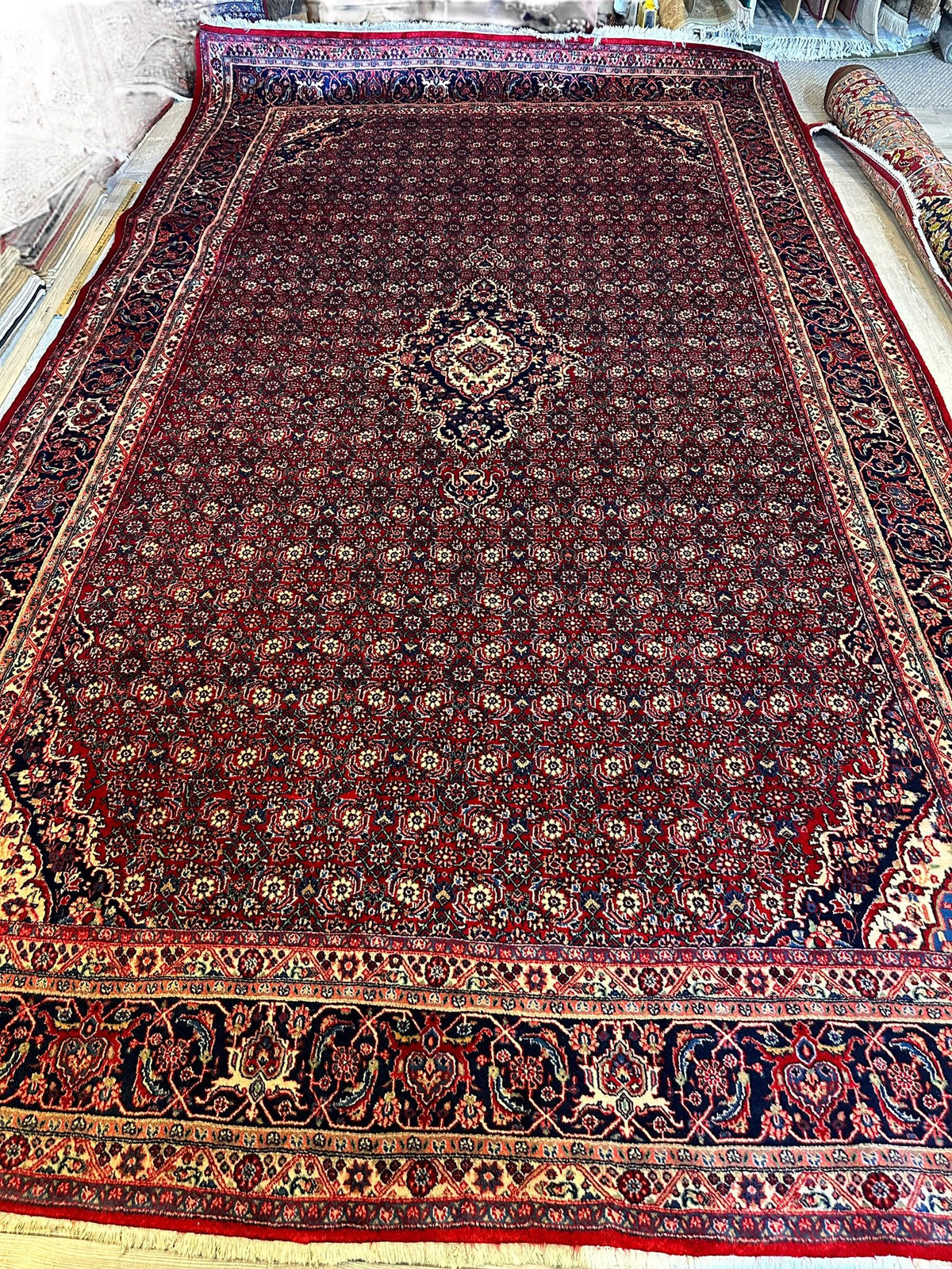 Vintage Persian Moud Rug 9x14 | Red, Navy & Ivory | Hand-Knotted Wool - Rugistan, view 3