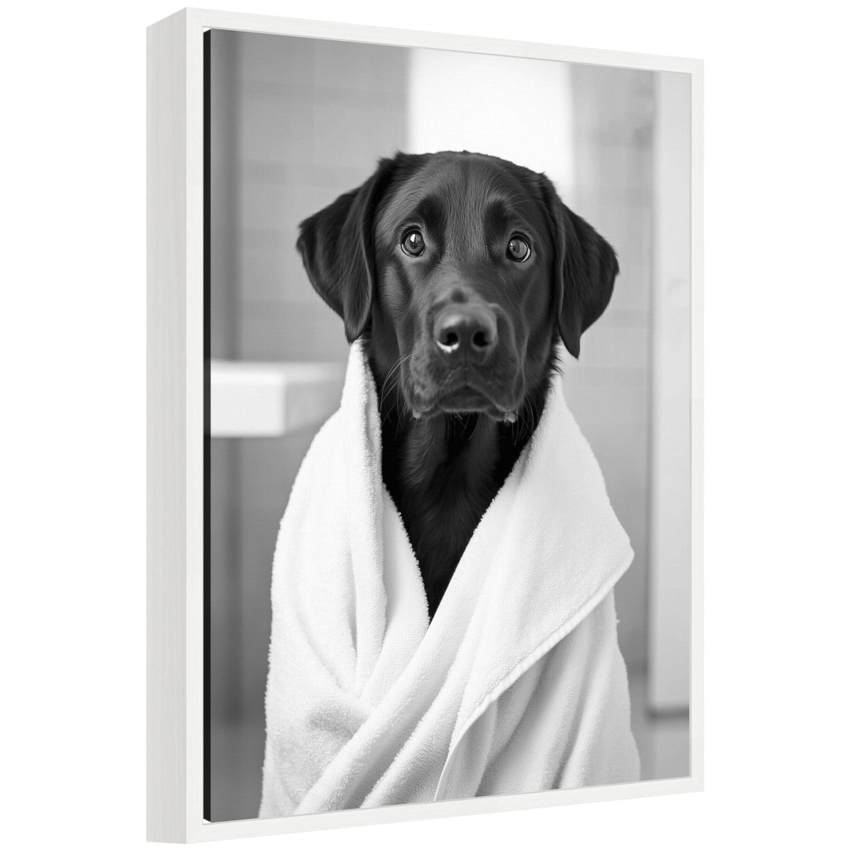 Sylvie Black Lab Bathroom Art Towel Robe Black and White Framed Canvas by The Creative Bunch Studio