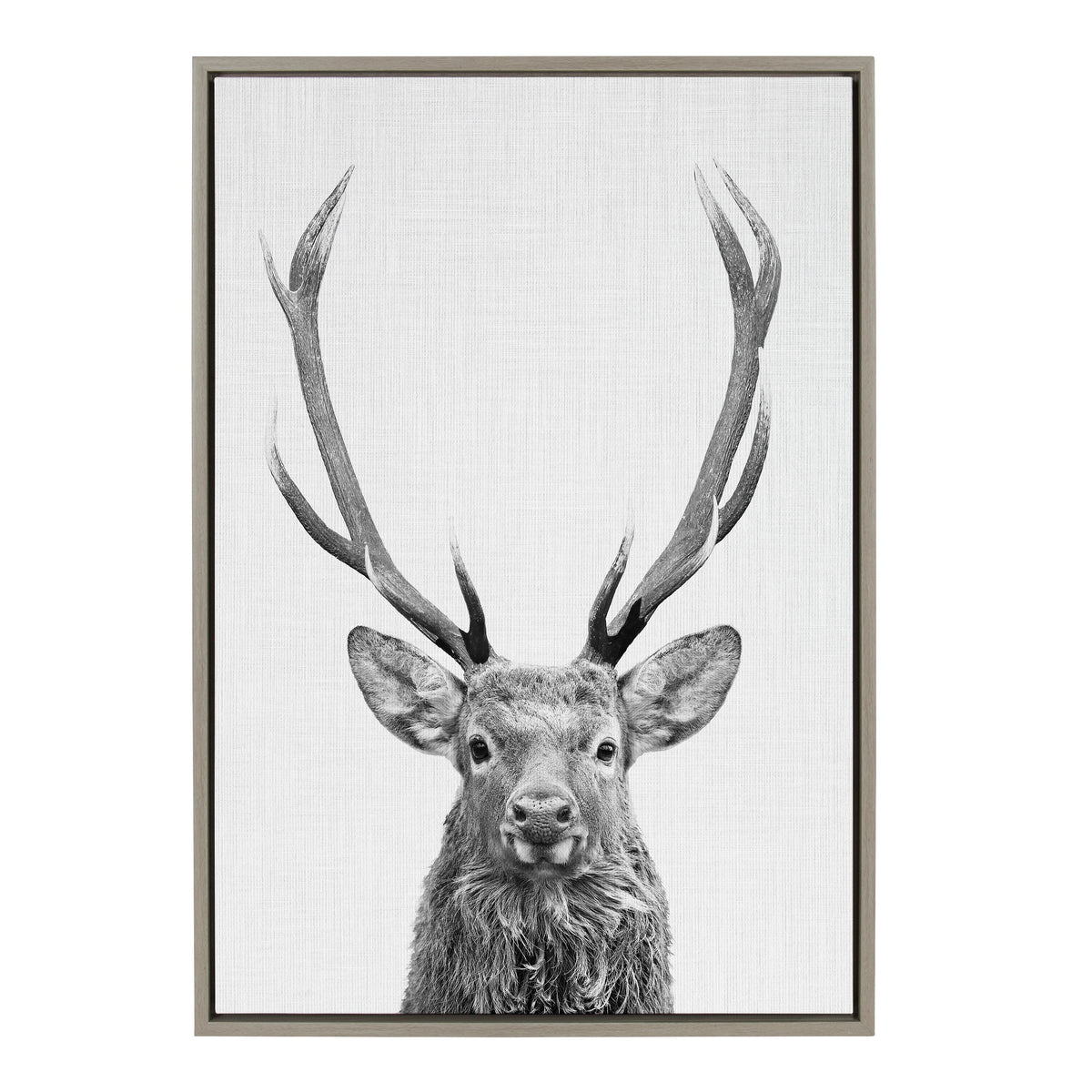 Sylvie The Red Deer BW Framed Canvas by Simon Te of Tai Prints