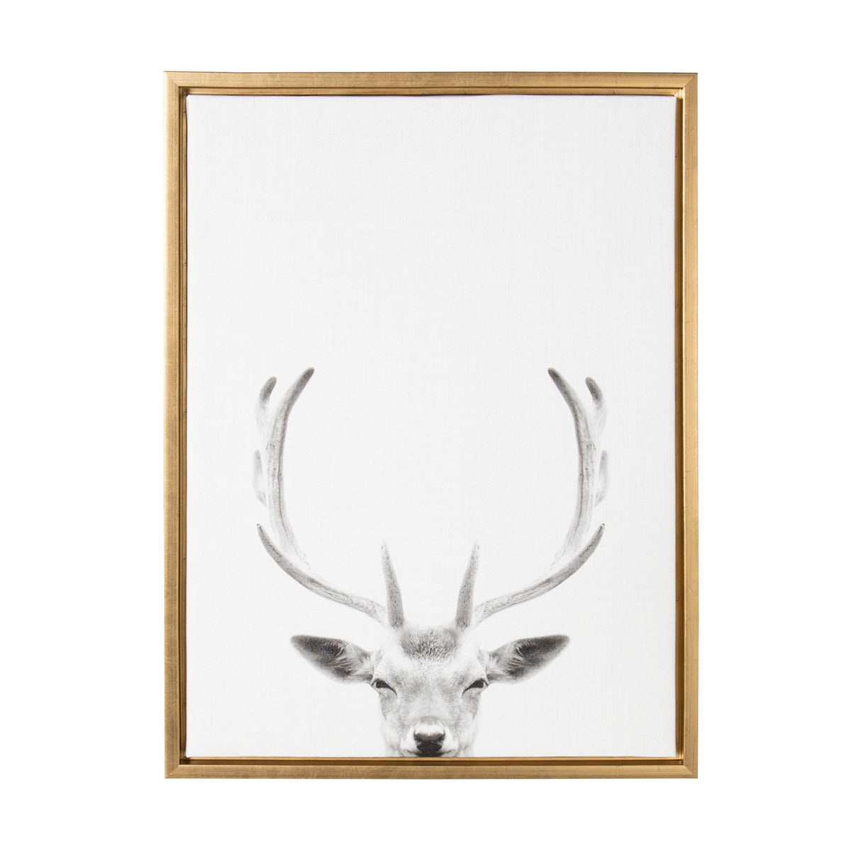 Sylvie Deer Portrait Framed Canvas by Simon Te Tai