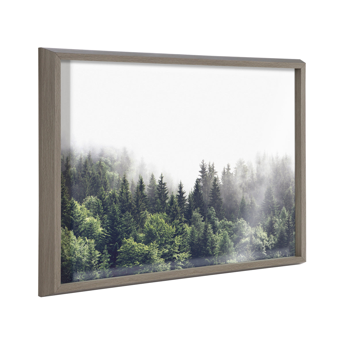Blake Lush Green Forest on a Foggy Day Framed Printed Glass by The Creative Bunch Studio