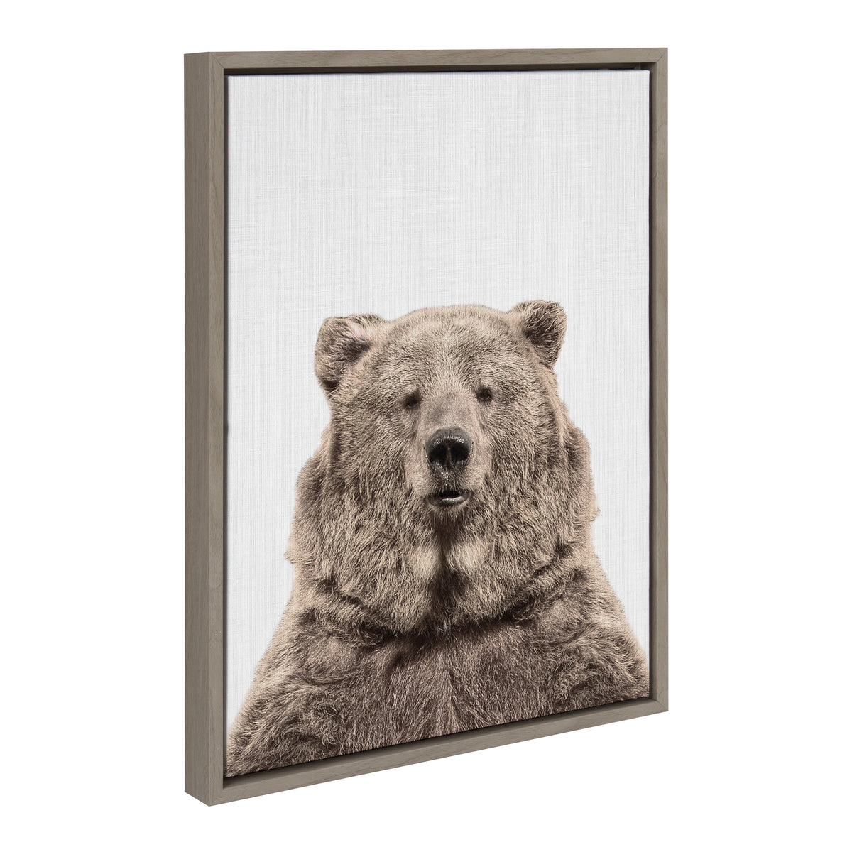Sylvie Bear European Color Framed Canvas by Simon Te of Tai Prints