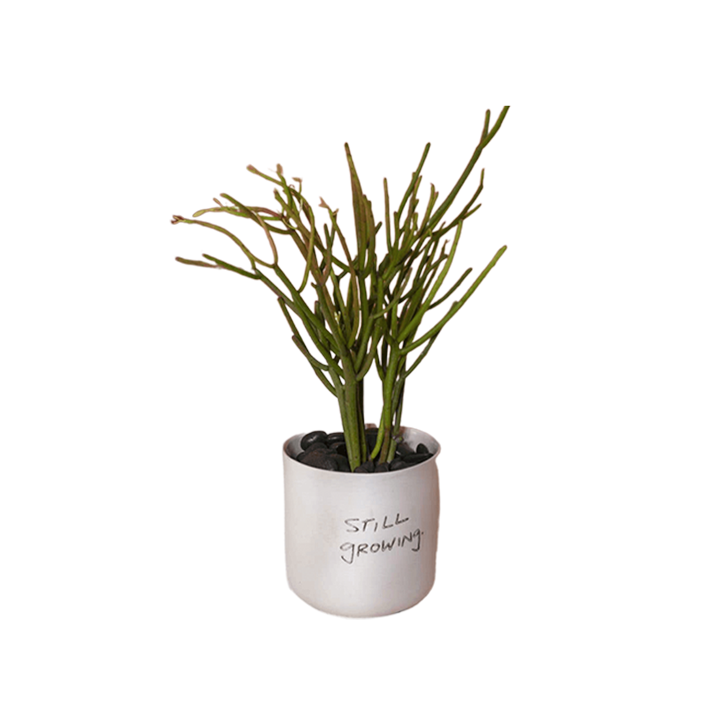 Honesty Pot White - Source by Studio Skara, view 2