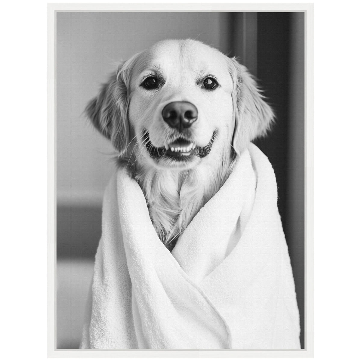 Sylvie Golden Retriever Bathroom Towel Robe Black and White Framed Canvas by The Creative Bunch Studio