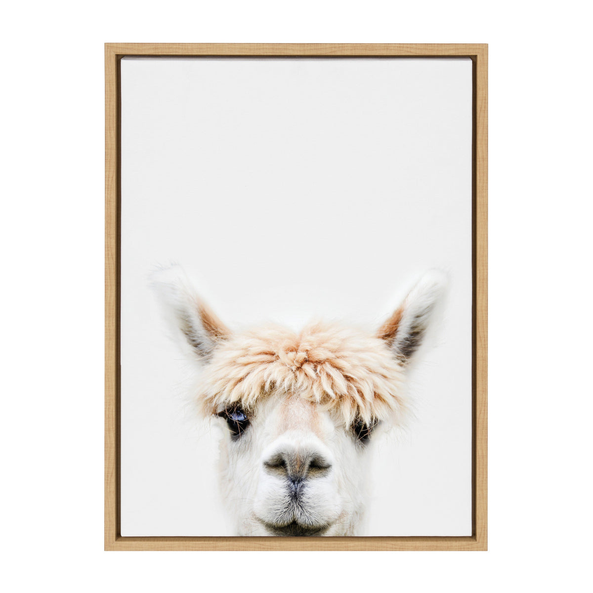 Sylvie Alpaca Bangs Framed Canvas by Amy Peterson Art Studio