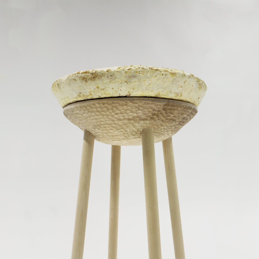 Mystool