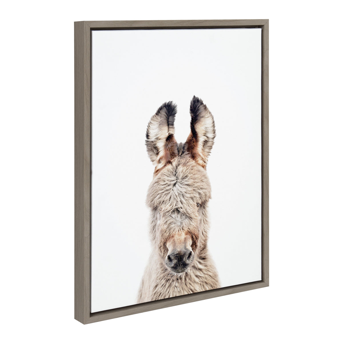 Sylvie Animal Studio Burro Portrait Framed Canvas by Amy Peterson Art Studio
