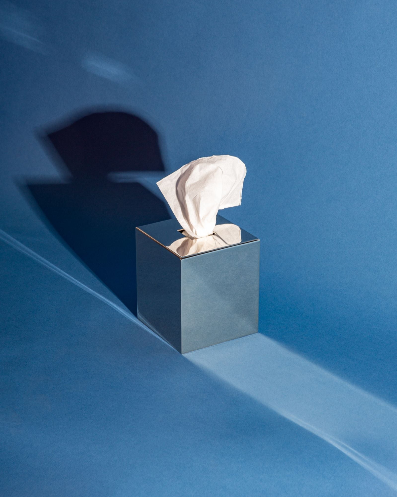 Josef Tissue Cozy