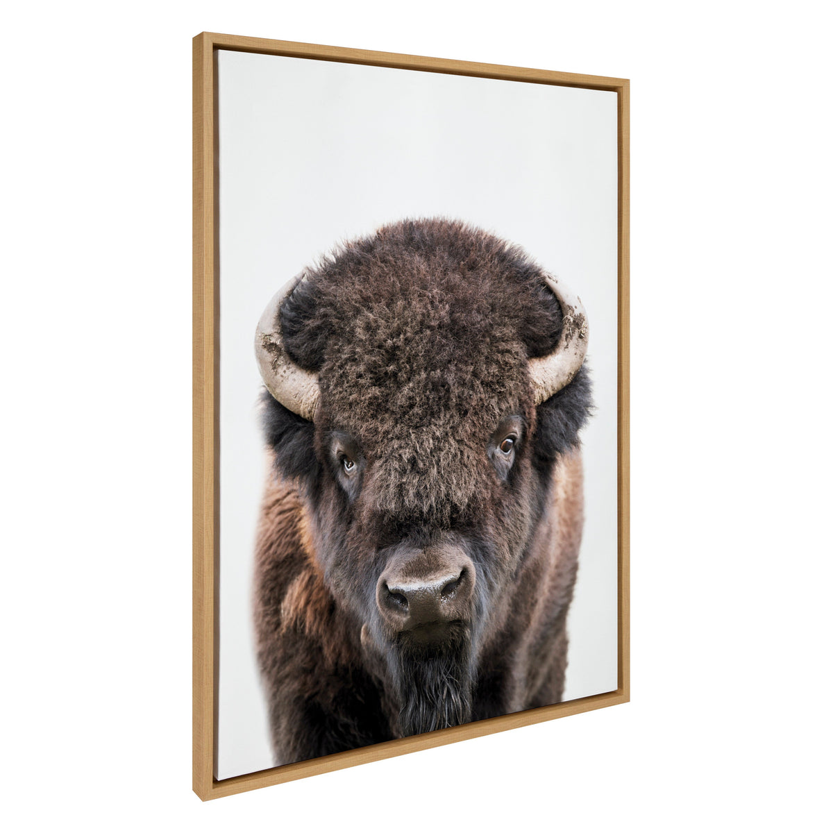 Sylvie Bison Portrait Framed Canvas by Amy Peterson Art Studio