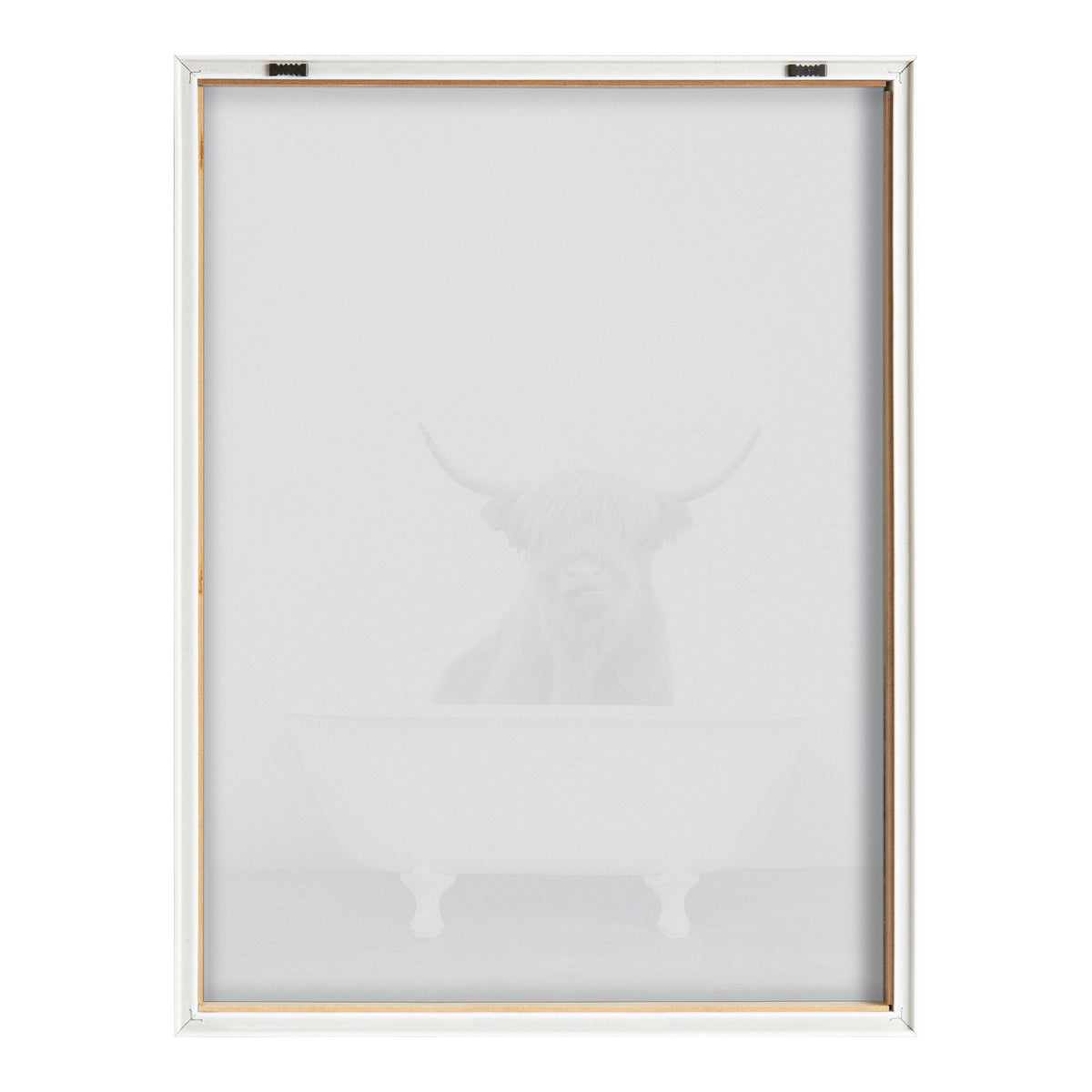 Blake Highland Cow in Tub Color Framed Printed Glass by Amy Peterson Art Studio