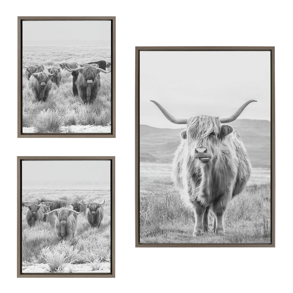Sylvie Herd of Highland Cows BW Left and Right and Highland Cow Mountain Landscape Black and White Framed Canvas Art Set by The Creative Bunch Studio
