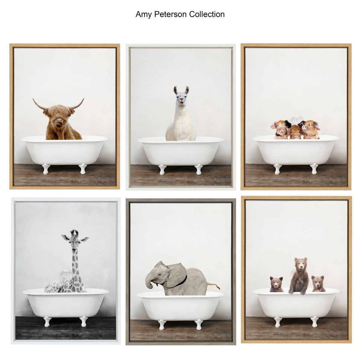 Sylvie Three Little Pigs In Vintage Bathtub Framed Canvas by Amy Peterson Art Studio